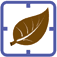 anwoluxautomne-copier.png